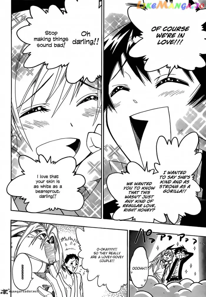 Nisekoi Chapter 2 image 13_optimized